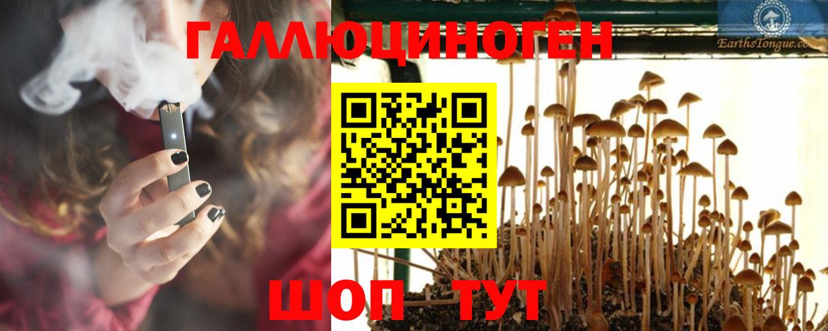 Псилоцибиновые грибы Psilocybe Кинель